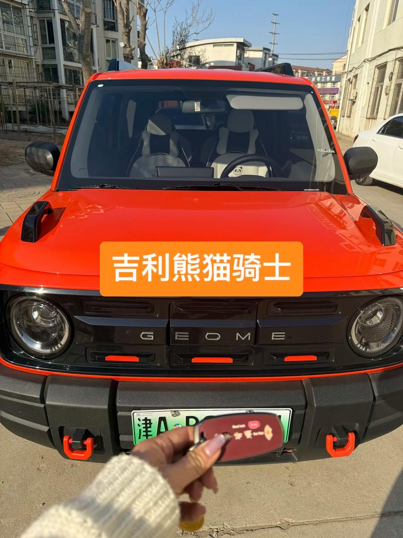 熊猫骑士2024款图片大全,熊猫骑士的图片