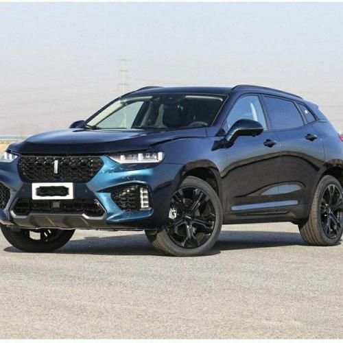 wey是什么车型(wey是什么品牌子的车)