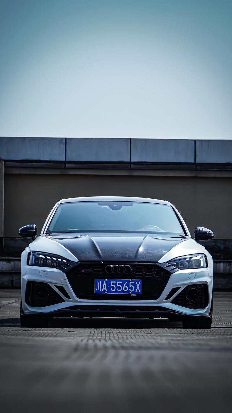 奥迪rs是什么车 rs奥迪什么意思