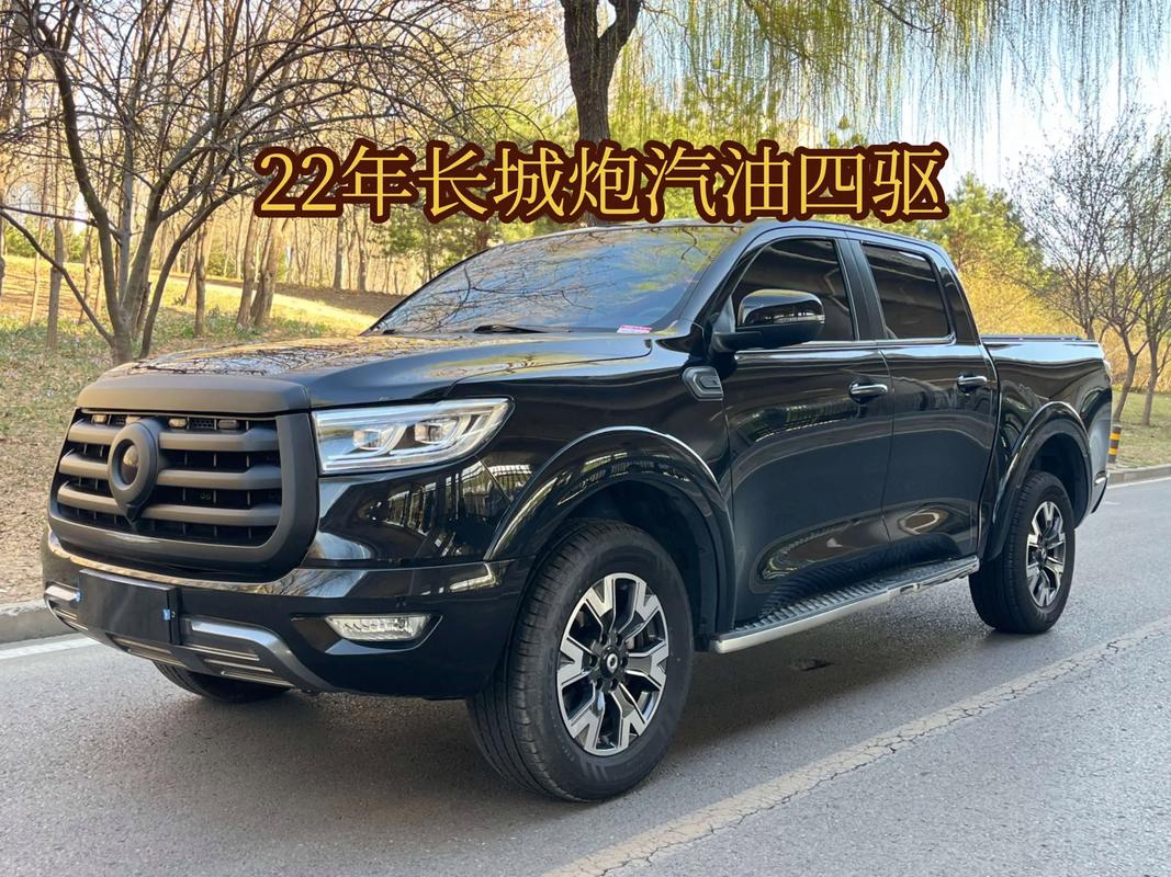 2019款长城m2(2019款长城炮乘用版20T四驱价格)