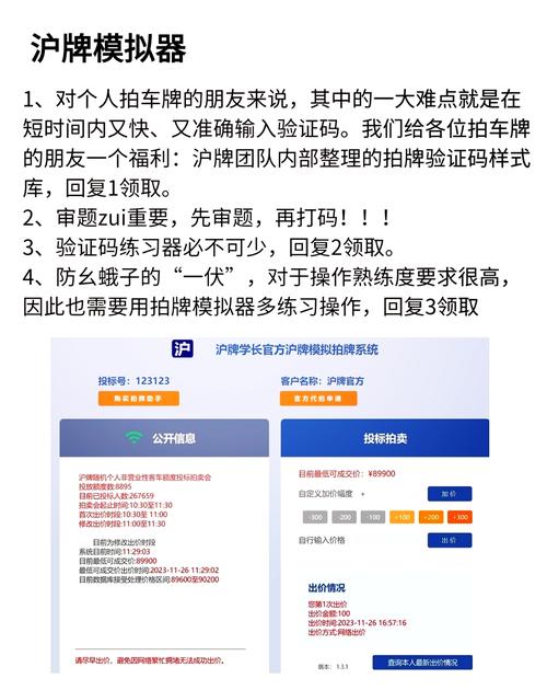 【上海沪牌拍牌官网入口,上海沪牌拍牌流程2020】